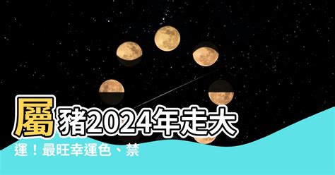 屬豬終身幸運色|【屬豬顏色】「豬年」開運指南：屬豬最旺「幸運色」大公開！